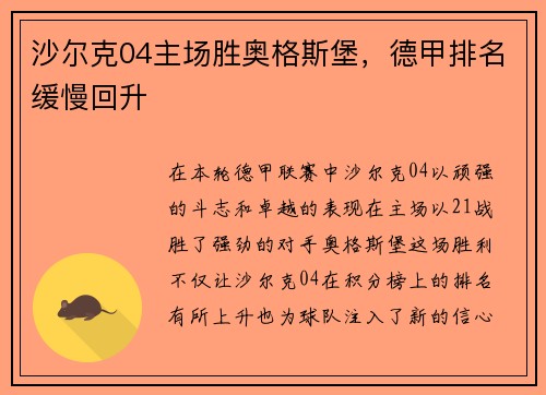 沙尔克04主场胜奥格斯堡，德甲排名缓慢回升